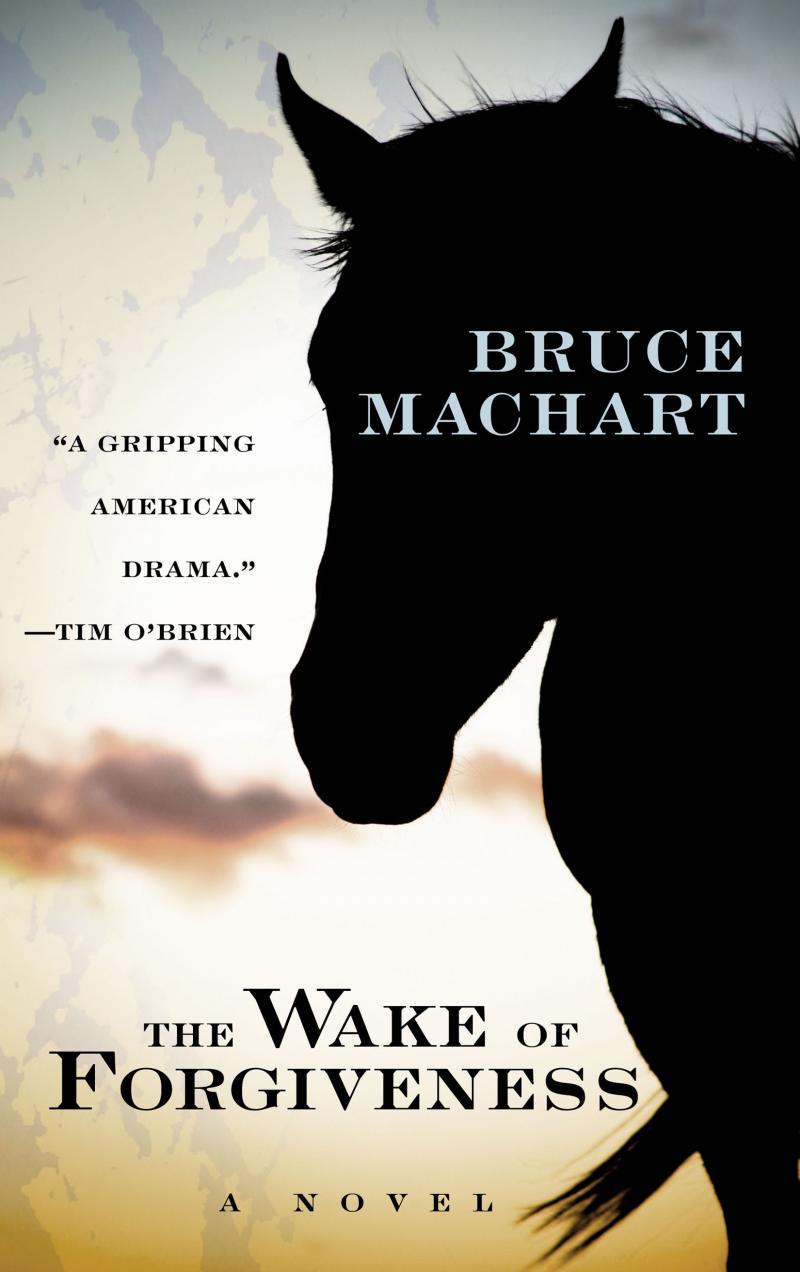 The Wake of Forgiveness, Large Print Edition